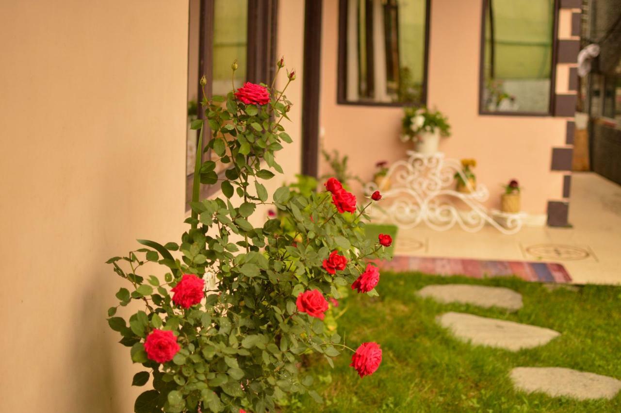 Hill House Manali -A Home In Mountains 외부 사진